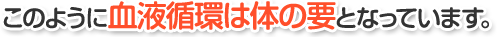 このように血液循環は体の要となっています。